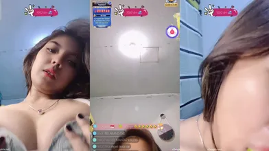 dy (21)