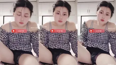 dy (400)