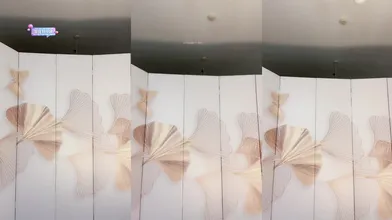 ❣️推荐❣️抖音擦边主播【小阿姨A】会议擦边舞74V，小尺度，微露 (43)