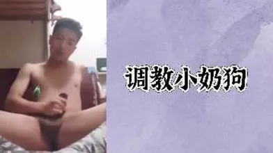 免费调教小奶狗