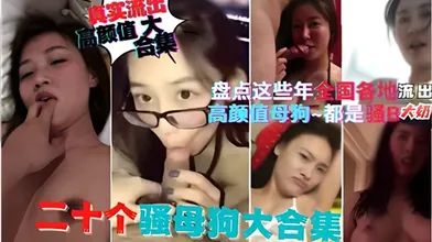 盘点这些年全国各地流出的高颜值母狗