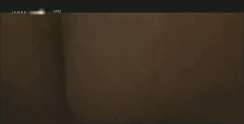 FLVE资源无套操醉酒的蓝毛鲜肉