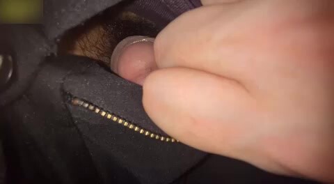 新网吧偷摸民工直男的大嫩屌