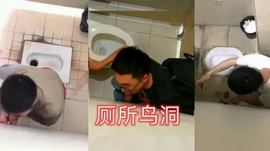 厕所鸟洞合集