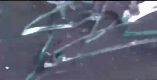 啐啄同时  2_4