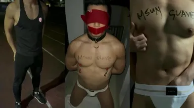 夜跑两次遇到肌肉壮男,捡回家养成爱宠家犬