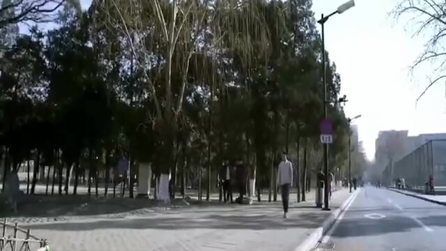 天生不同 小直男的一路追逐 下级