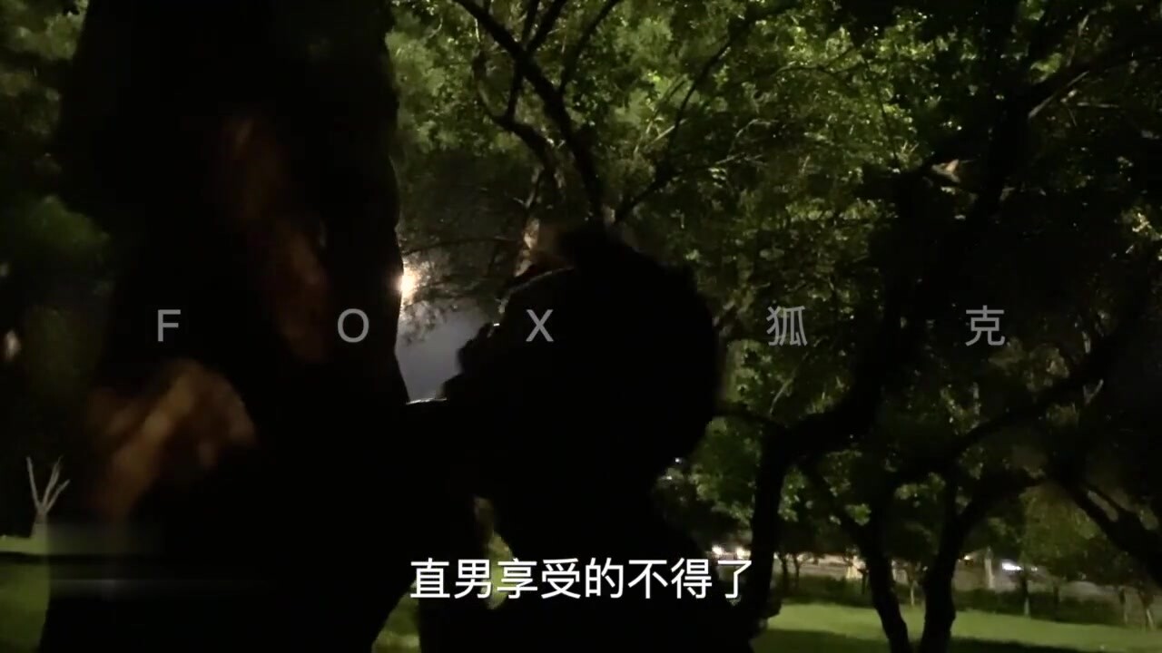 狐克夜间公园搭讪直男野战(推荐)