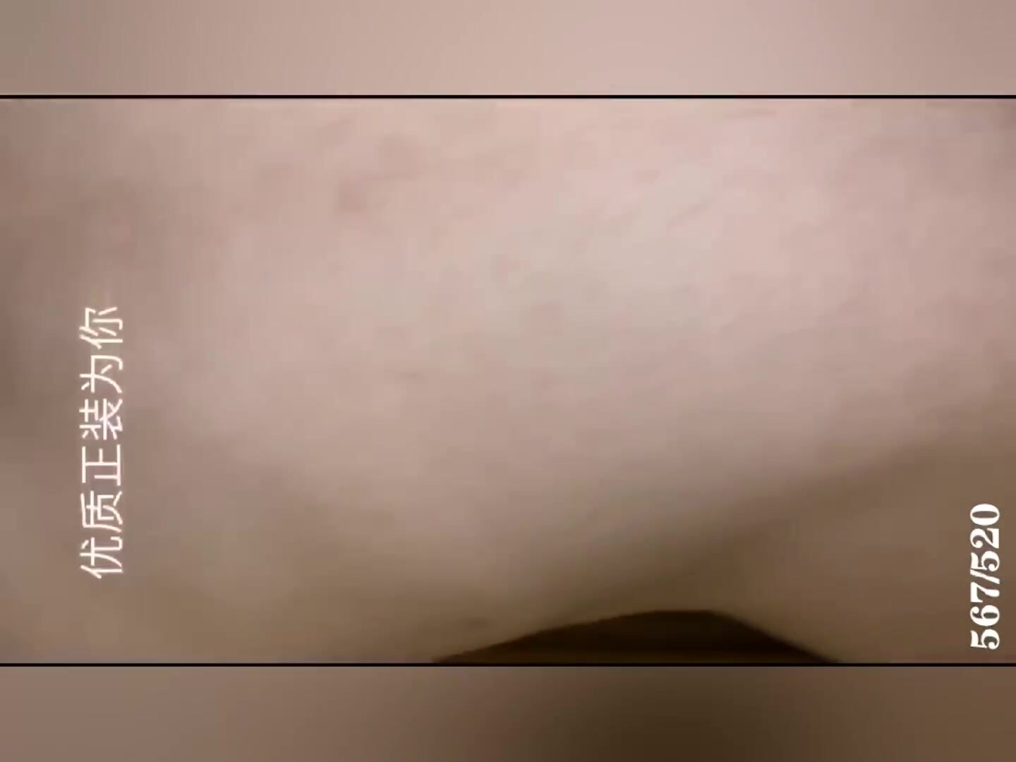 虐玩优质正装奴