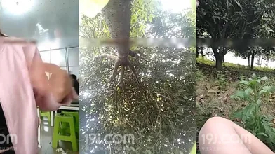 老虎直播少妇楠楠野外露出打炮勾引摩的司机打野战编号8D03A280