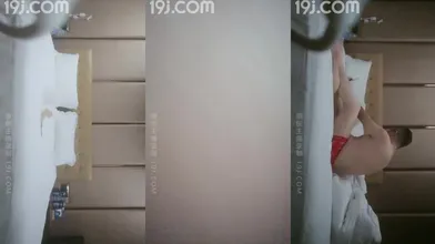 局长的后宫
