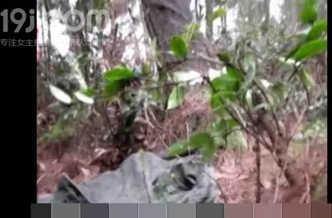 周末休息约医院上班的实习小护士女友到深山里游玩顺便找个隐蔽的地方野战还换姿势干妹子还是一线天国语对白编号47374D47