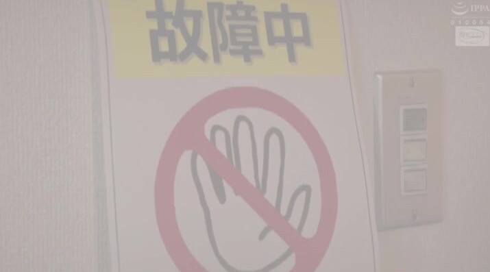 CJOD215排卵日发散费洛蒙汗液巨乳女上司诱惑我到早上永井玛う丽亚.