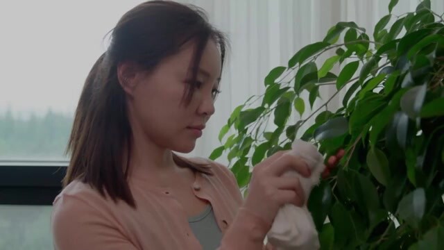 邻居的优雅妻子