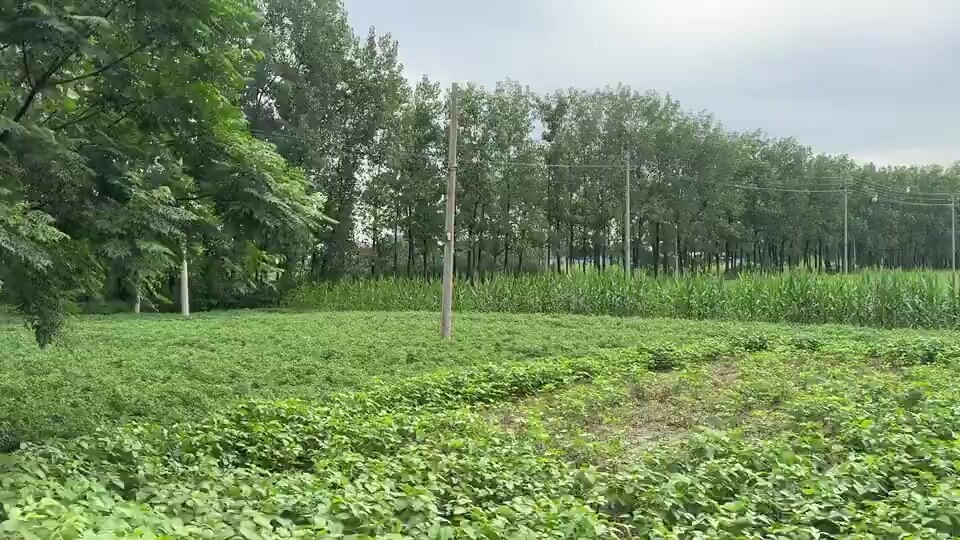 大奶顶级Cos白虎萝莉『小鱼神』私拍福利，娇小可爱声娇体软易推倒 渴望被主人爸爸灌满小穴穴(48)