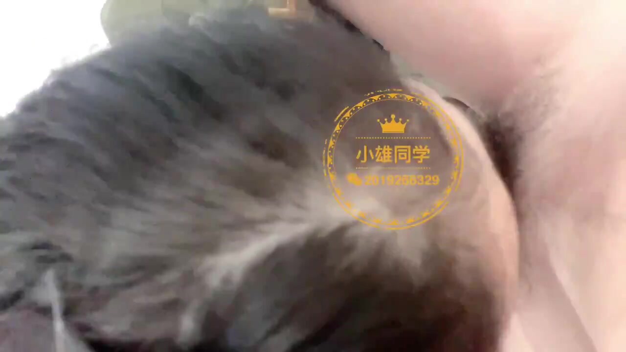 推特轻熟女少妇杀手PUA大神【小熊同学】福利私拍，美足美腿白皙性感，足交啪啪制服诱惑力十足 (50)