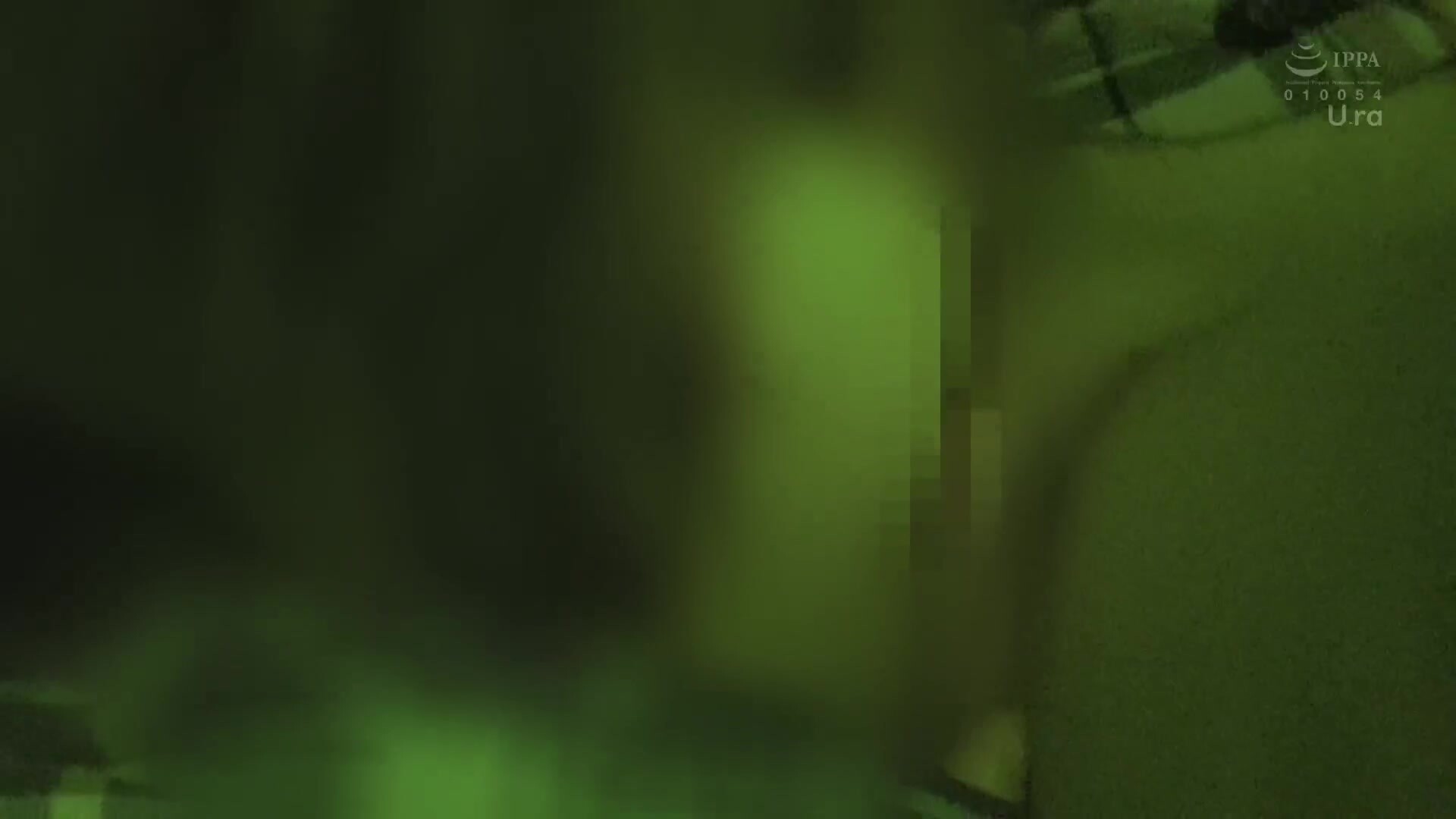 [rurb-002] 【流出映像】変態カップル 公然SEX盗撮 250分 屋外変態露出、愛撫、フェラ、腰振り交尾…これがアマチュアカップルの隠れSEXのリアル