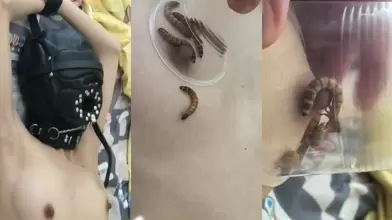爬虫调教