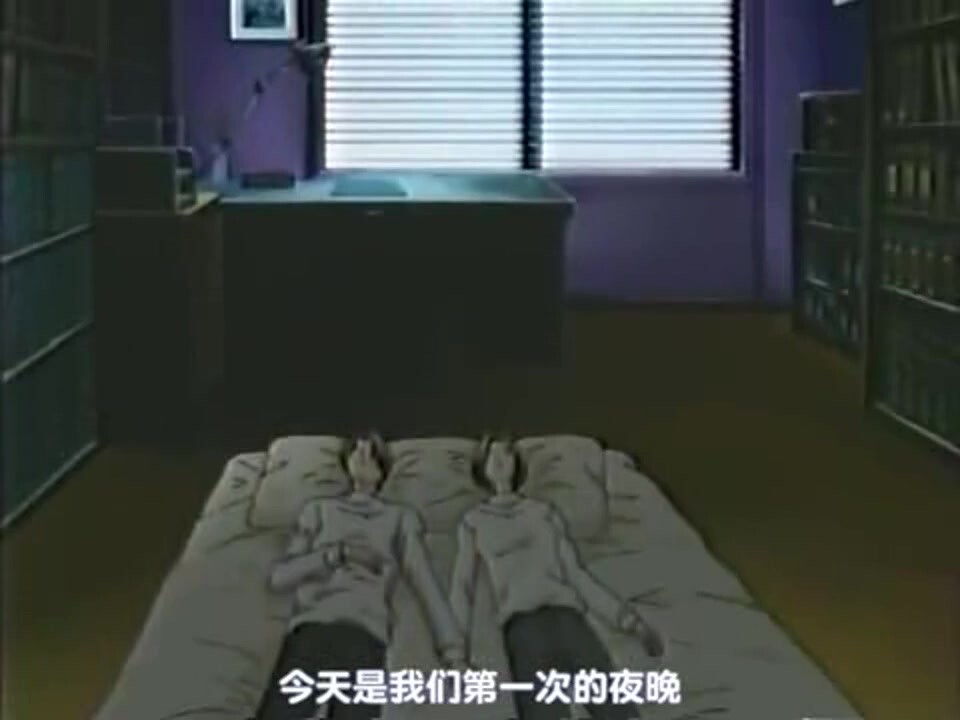 HYSP-1001 トライゼット